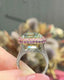 14K Gold 15.7 CT Natural Afghan Green Tourmaline & Pink Sapphire & Diamond Ring （HALF PAYMENT)