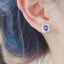 14k Gold 2.07 Ctw Natural Sapphire & Diamond Earrings