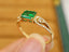 14K GOLD 0.67 CTW NATURAL EMERALD & DIAMOND RING