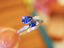 14K GOLD 0.73 CTW VIVID BLUE NATURAL SAPPHIRE & DIAMOND RING