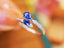 14K GOLD 0.73 CTW VIVID BLUE NATURAL SAPPHIRE & DIAMOND RING