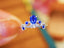 14K GOLD 0.47 CTW VIVID BLUE NATURAL SAPPHIRE & DIAMOND RING