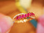 14K GOLD 0.47 CTW VIVID RED NATURAL RUBY & DIAMOND RING