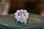 14K GOLD 3.7 CTW NATURAL MORGANITE & DIAMOND RING