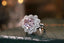 14K GOLD 3.7 CTW NATURAL MORGANITE & DIAMOND RING