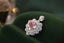 14K GOLD 2.35 CTW NATURAL MORGANITE & DIAMOND PENDANT