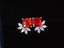 14K GOLD 2.68 CTW NATURAL SPINEL & DIAMOND EARRINGS