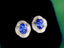 14K GOLD 3.40 CTW NATURAL SAPPHIRE & DIAMOND EARRINGS