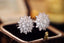 14K GOLD 2.20 CT NATURAL H DIAMOND EARRINGS