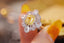 14K GOLD 2.42 CTW NATURAL YELLOW DIAMOND & SAPPHIRE RING/PENDANT