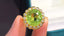 14K GOLD 8.33 CTW NATURAL TOURMALINE & DIAMOND RING