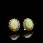 14K GOLD 2.02 CTW NATURAL OPAL & AQUAMARINE EARRINGS