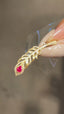 14K GOLD 0.75 CTW VIVID RED NATURAL RUBY & DIAMOND BROOCH/PENDANT